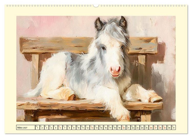 Produktbild: Zauberhafte Ponys. Kleine Pferdchen in lieblicher &Ouml;loptik (hochwertiger Premium Wandkalender 2027 DIN A2 quer), Kunstdruck in Hochglanz
