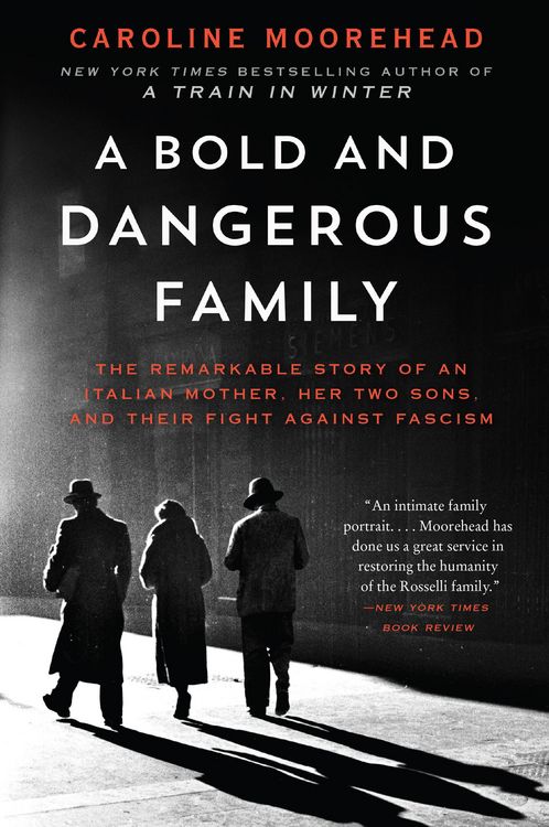 Produktbild: Bold and Dangerous Family, A