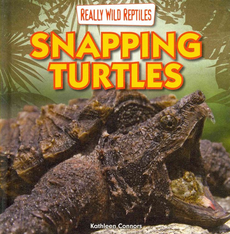 Produktbild: Really Wild Reptiles