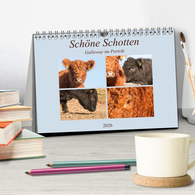 Produktbild: Sch&ouml;ne Schotten - Galloway im Portr&auml;t (Tischkalender 2026 DIN A5 quer), CALVENDO Monatskalender