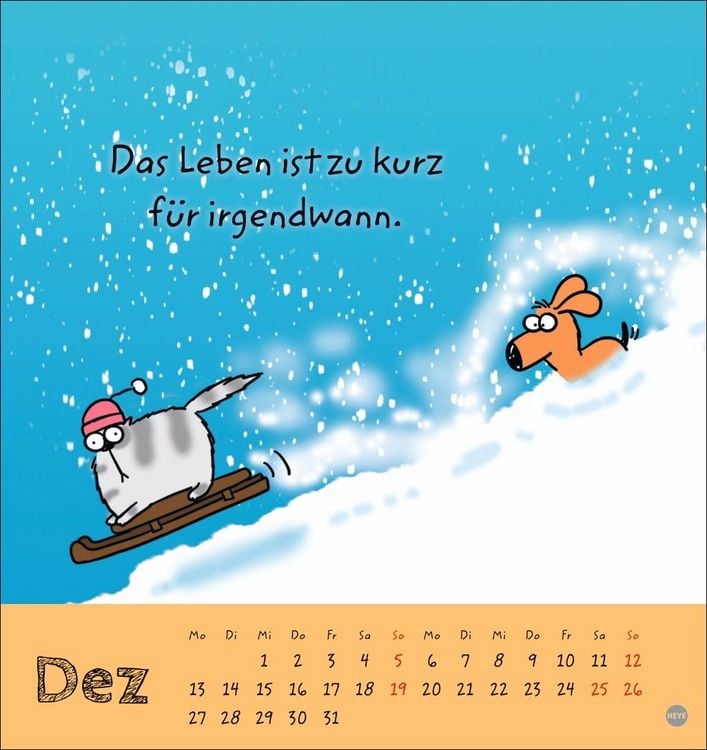 Produktbild: Catzz Postkartenkalender 2027