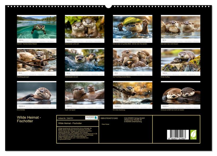 Produktbild: Wilde Heimat - Fischotter (hochwertiger Premium Wandkalender 2026 DIN A2 quer), Kunstdruck in Hochglanz