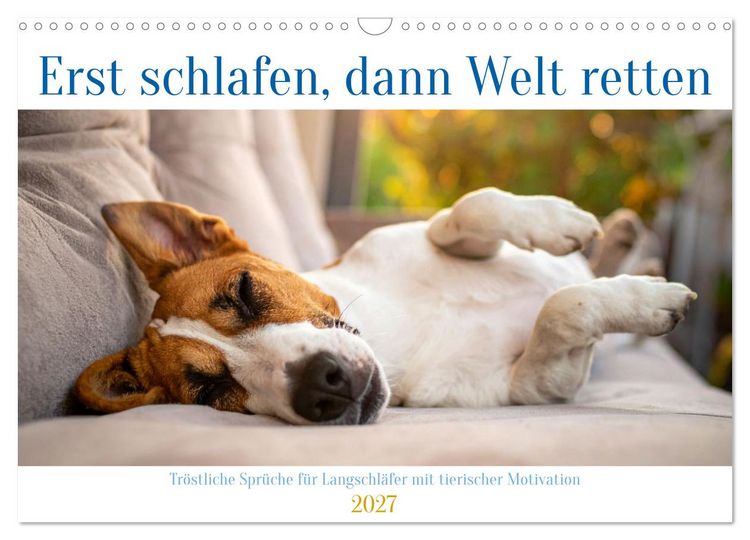 Produktbild: Erst schlafen, dann Welt retten (Wandkalender 2027 DIN A3 quer), CALVENDO Monatskalender
