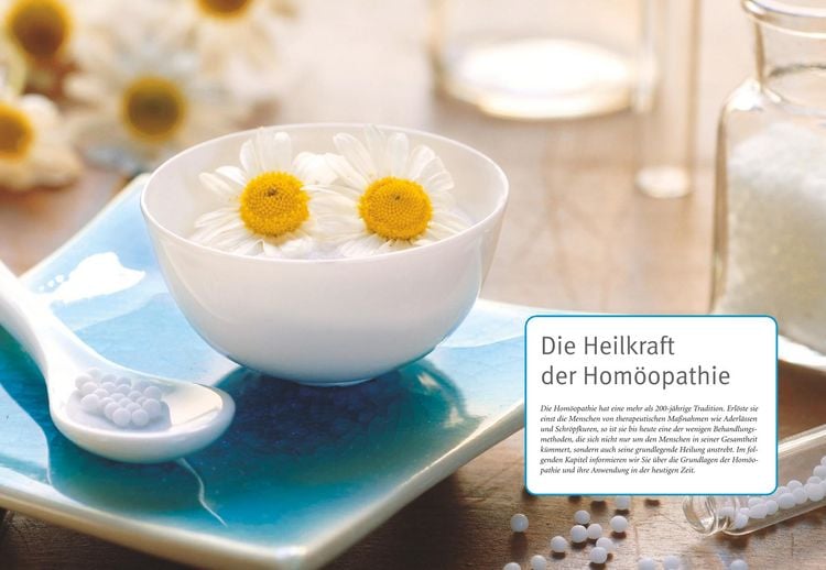 Produktbild: Hom&ouml;opathie - Das gro&szlig;e Handbuch