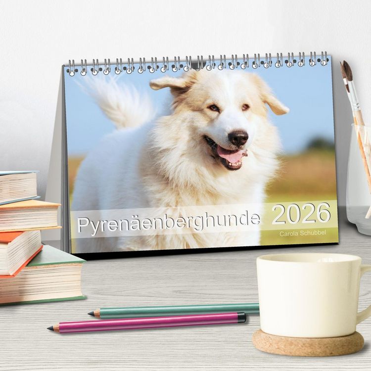 Produktbild: Pyren&auml;enberghunde (Tischkalender 2026 DIN A5 quer), CALVENDO Monatskalender