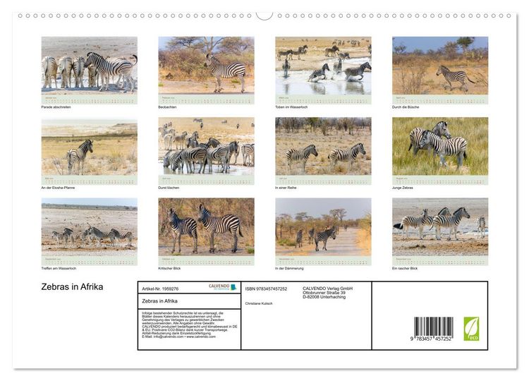 Produktbild: Zebras in Afrika (hochwertiger Premium Wandkalender 2026 DIN A2 quer), Kunstdruck in Hochglanz