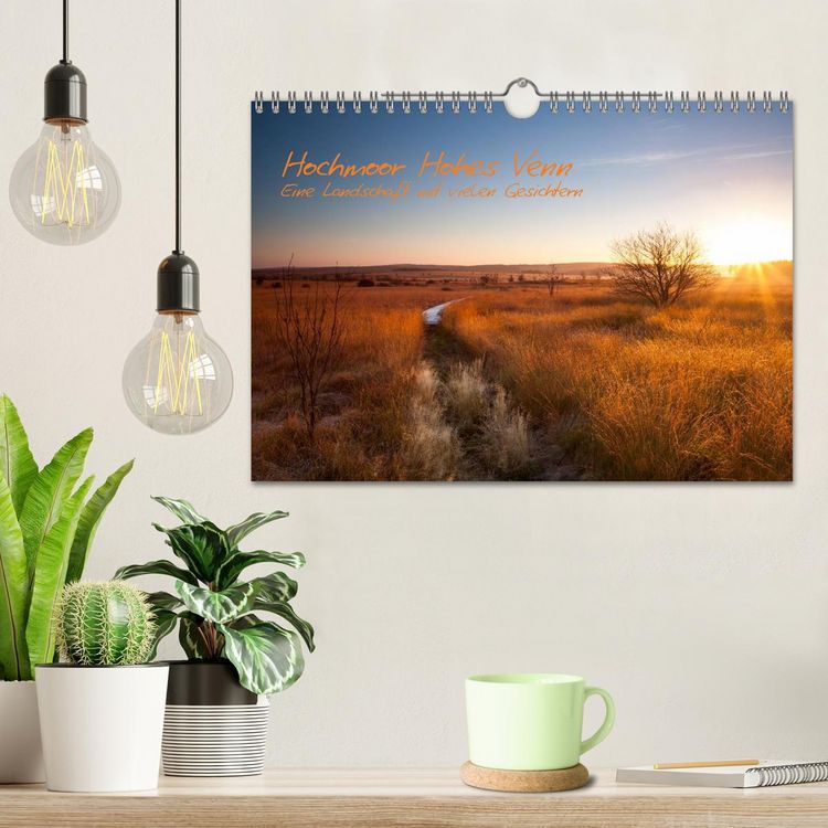 Produktbild: Hochmoor Hohes Venn (Wandkalender 2026 DIN A4 quer), CALVENDO Monatskalender