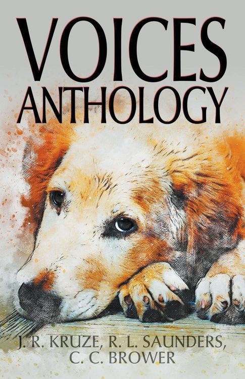 Produktbild: Voices Anthology