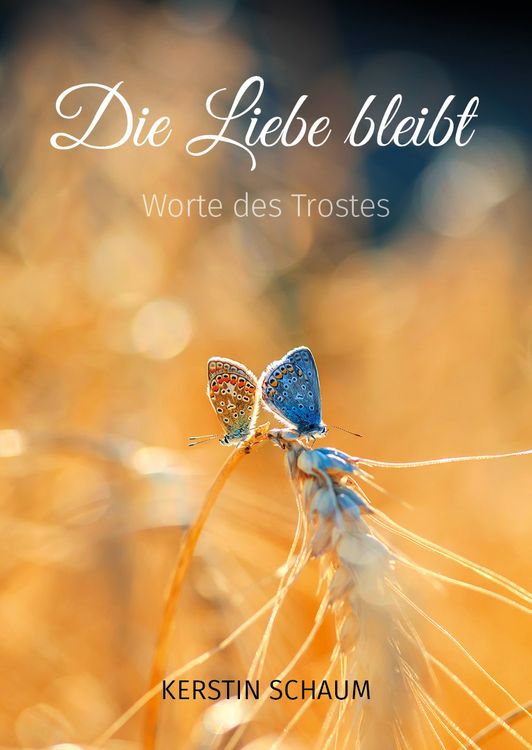 Produktbild: Die Liebe bleibt