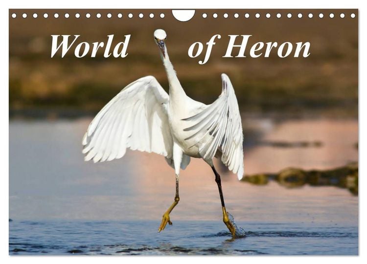 Produktbild: World of Heron (Wall Calendar 2026 DIN A4 landscape), CALVENDO 12 Month Wall Calendar