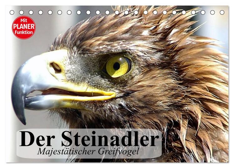 Produktbild: Der Steinadler. Majest&auml;tischer Greifvogel (Tischkalender 2026 DIN A5 quer), CALVENDO Monatskalender