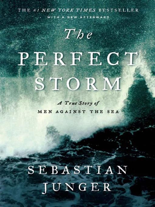 Produktbild: The Perfect Storm