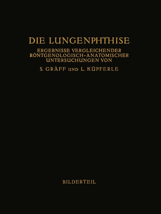 Produktbild: Die Lungenphthise