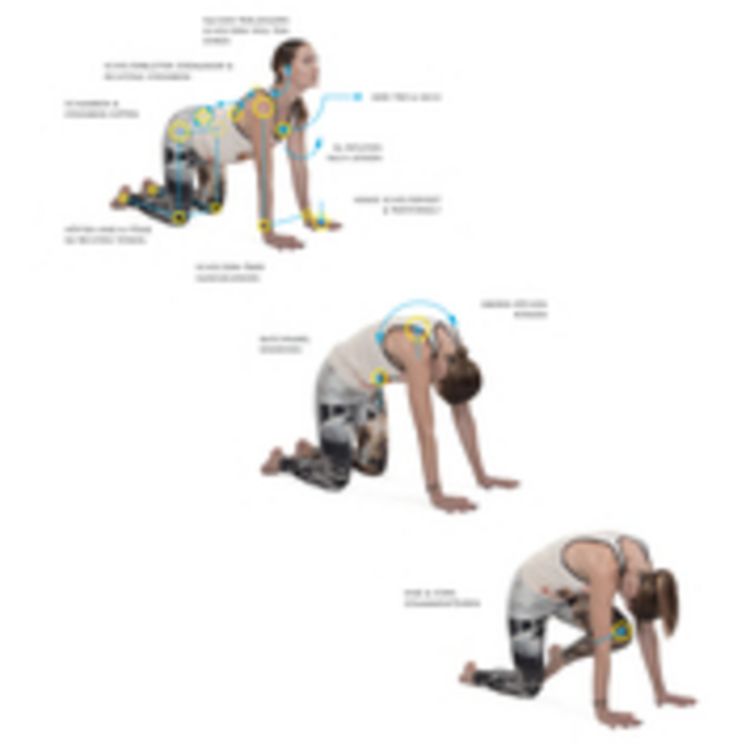 Produktbild: Ausrichtung in der Yoga Asana