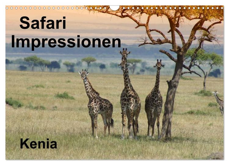 Produktbild: Safari Impressionen / Kenia (Wandkalender 2026 DIN A3 quer), CALVENDO Monatskalender