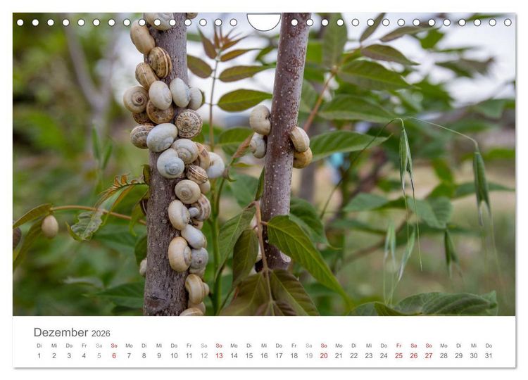 Produktbild: Kreta - Naturlandschaften (Wandkalender 2026 DIN A4 quer), CALVENDO Monatskalender