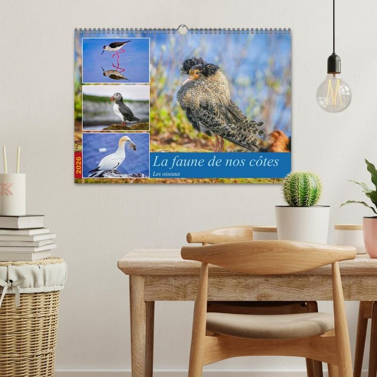 Produktbild: La faune de nos c&ocirc;tes les oiseaux (Calendrier mural 2026 DIN A3 vertical), CALVENDO calendrier mensuel
