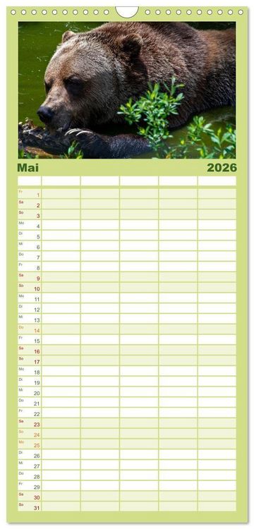Produktbild: Familienplaner 2026 - Grizzlys und Geisterb&auml;ren - Glendale Cove, Kanada mit 5 Spalten (Wandkalender, 21 x 45 cm) CALVENDO