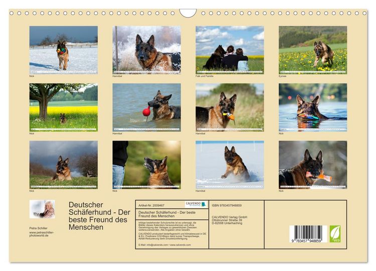 Produktbild: Deutscher Sch&auml;ferhund - Der beste Freund des Menschen (Wandkalender 2026 DIN A3 quer), CALVENDO Monatskalender
