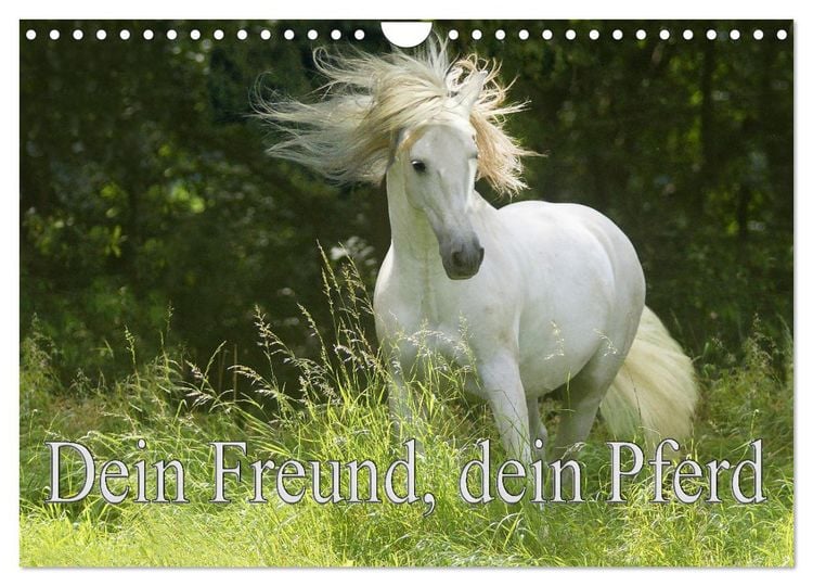 Produktbild: Dein Freund, dein Pferd (Wandkalender 2026 DIN A4 quer), CALVENDO Monatskalender