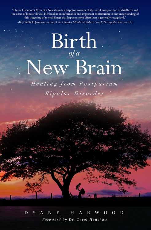 Produktbild: Birth of a New Brain: Healing from Postpartum Bipolar Disorder