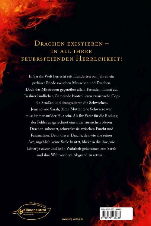 Produktbild: Burn &ndash; Die Welt brennt wie Feuer