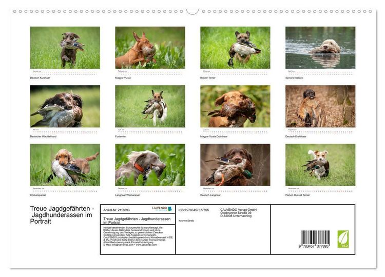 Produktbild: Treue Jagdgef&auml;hrten - Jagdhunderassen im Portrait (hochwertiger Premium Wandkalender 2026 DIN A2 quer), Kunstdruck in Hochglanz