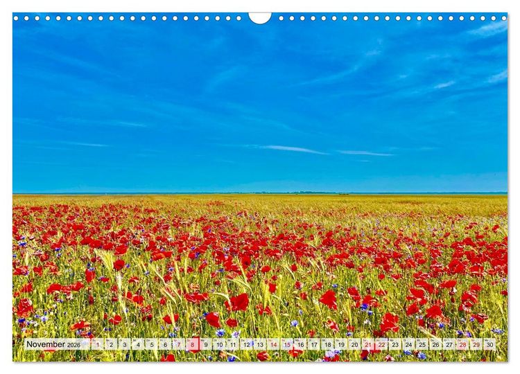 Produktbild: Fischland: zwischen Ostsee und Bodden (Wandkalender 2026 DIN A3 quer), CALVENDO Monatskalender