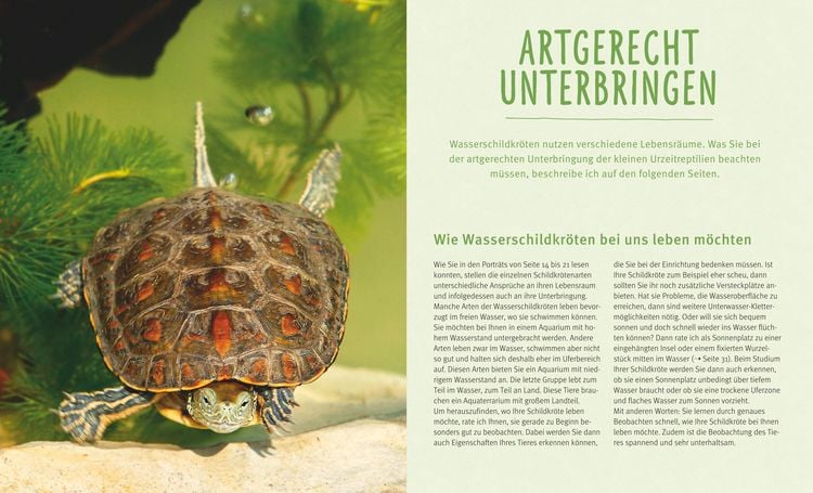 Produktbild: Wasserschildkr&ouml;ten