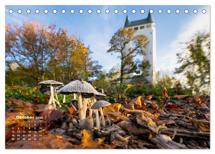 Produktbild: Fantastische Pilzwelten (Tischkalender 2026 DIN A5 quer), CALVENDO Monatskalender