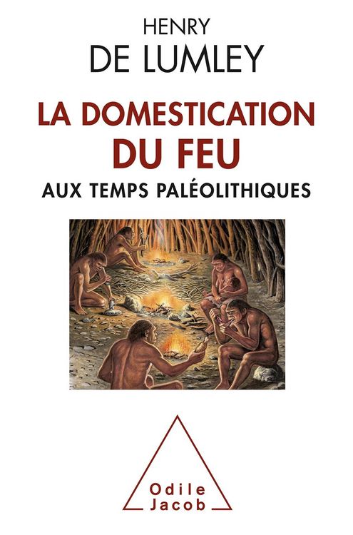 Produktbild: La Domestication du feu aux temps paleolithiques