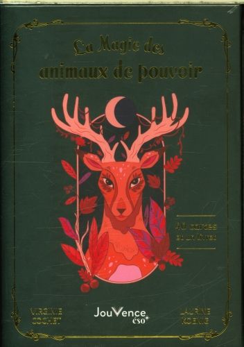 Produktbild: La magie des animaux de pouvoir : 40 cartes et un livret