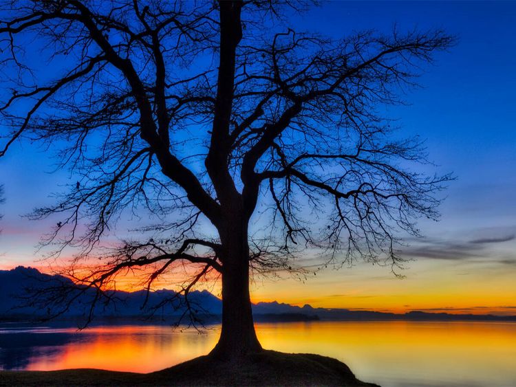 Produktbild: CALVENDO Puzzle F&ouml;hnabend am Chiemsee | 1000 Teile Lege-Gr&ouml;&szlig;e 64 &times; 48 cm Foto-Puzzle f&uuml;r gl&uuml;ckliche Stunden