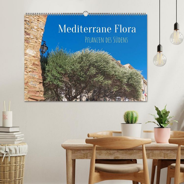 Produktbild: Mediterrane Flora - Pflanzen des S&uuml;dens (Wandkalender 2026 DIN A2 quer), CALVENDO Monatskalender