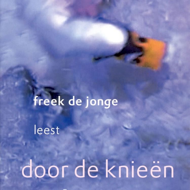 Produktbild: Door de knie&euml;n