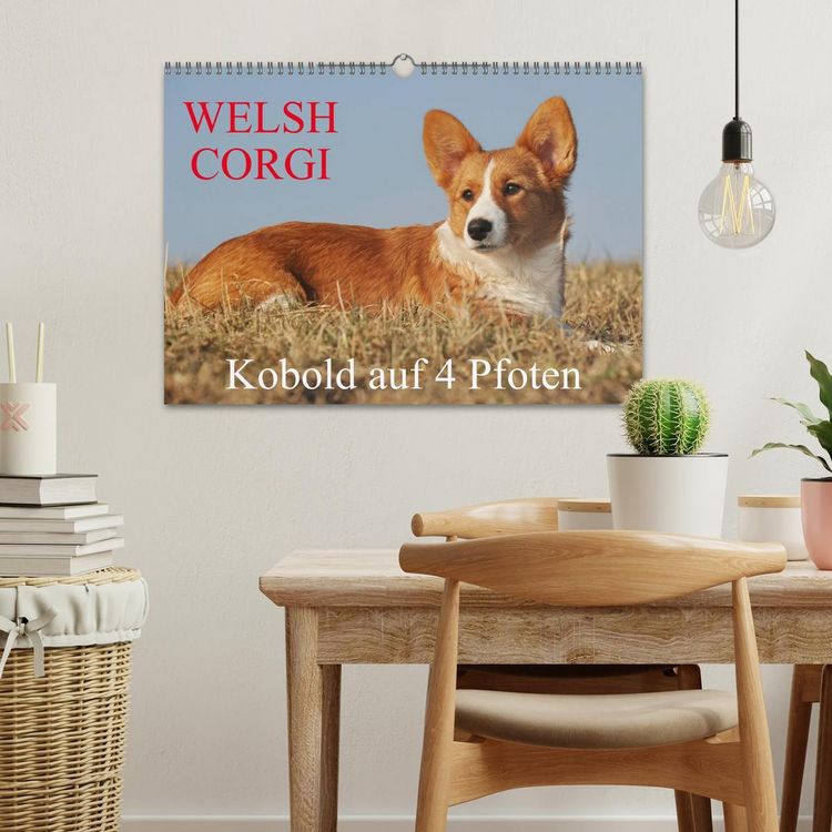 Produktbild: Welsh Corgi - Kobold auf 4 Pfoten (Wandkalender 2026 DIN A3 quer), CALVENDO Monatskalender