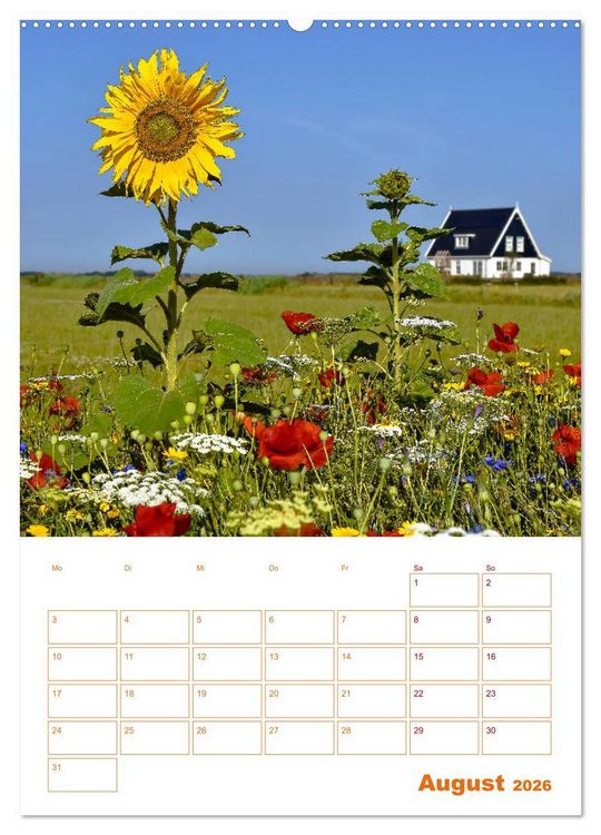 Produktbild: Texel - Momente die verzaubern (Wandkalender 2026 DIN A2 hoch), CALVENDO Monatskalender