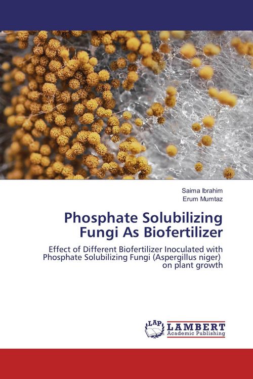 Produktbild: Phosphate Solubilizing Fungi As Biofertilizer