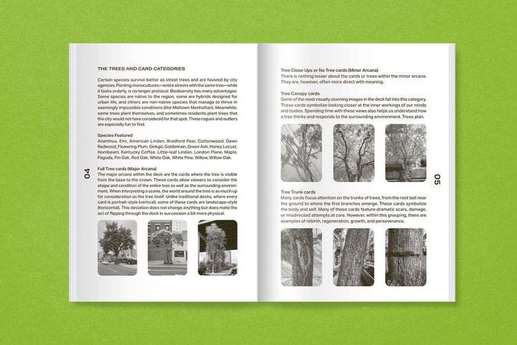 Produktbild: New York City Street Tree Tarot