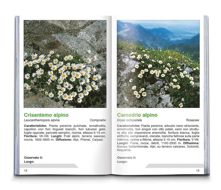 Produktbild: Fiori alpini