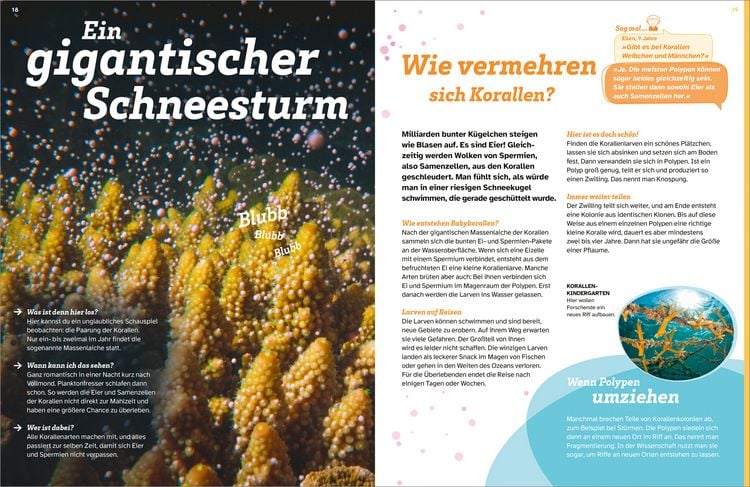 Produktbild: WAS IST WAS Korallenriff. Mitten im Gewusel
