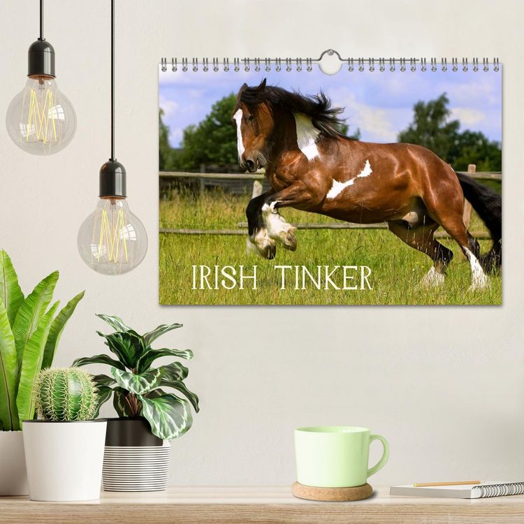Produktbild: Irish Tinker (Wandkalender 2026 DIN A4 quer), CALVENDO Monatskalender