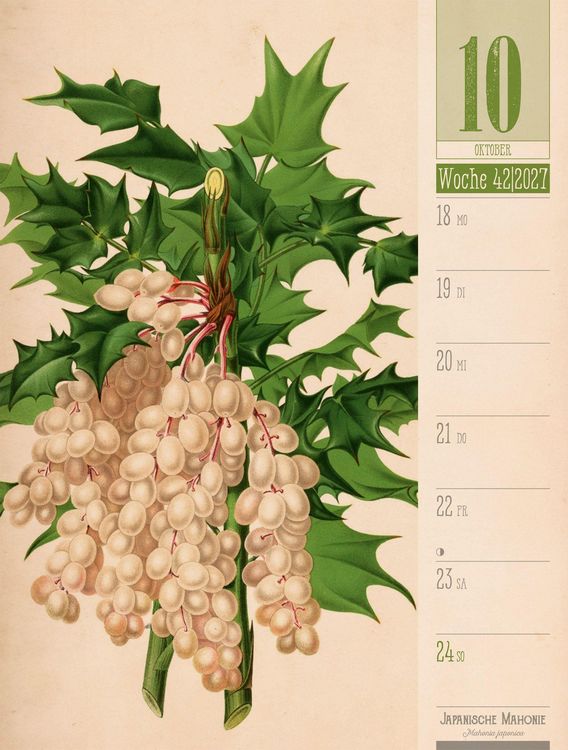 Produktbild: Culinarium Wochenplaner Kalender 2027 | K&uuml;che, Kr&auml;uter, Kurioses