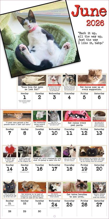 Produktbild: Bad Cat Wall Calendar 2026