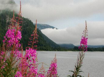 Produktbild: CALVENDO Puzzle Bei Kristiansand | 2000 Teile Lege-Gr&ouml;&szlig;e 90x67cm Foto-Puzzle f&uuml;r gl&uuml;ckliche Stunden