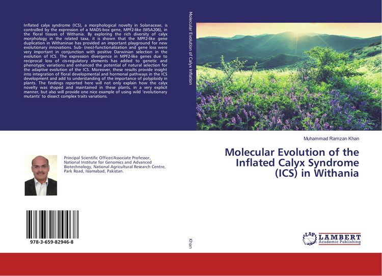 Produktbild: Molecular Evolution of the Inflated Calyx Syndrome (ICS) in Withania