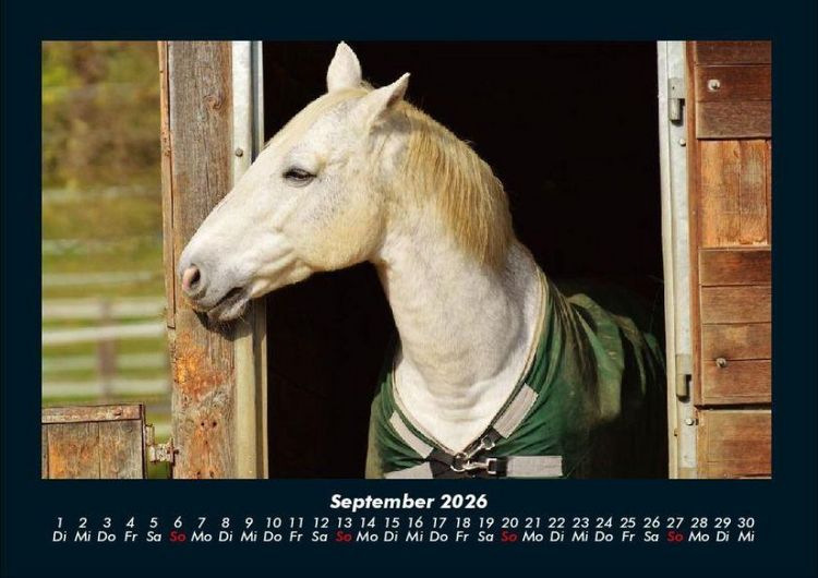 Produktbild: Die Welt der Pferde 2026 Fotokalender DIN A4