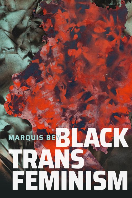 Produktbild: Black Trans Feminism