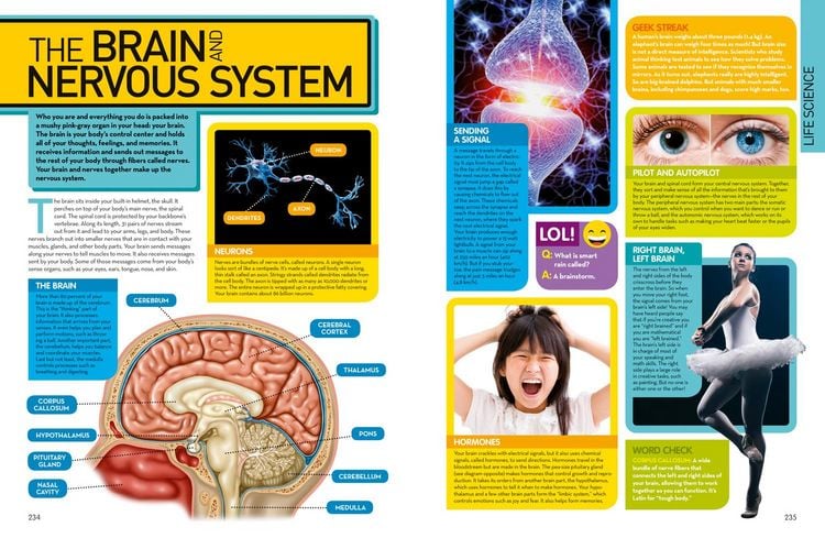 Produktbild: Science Encyclopedia