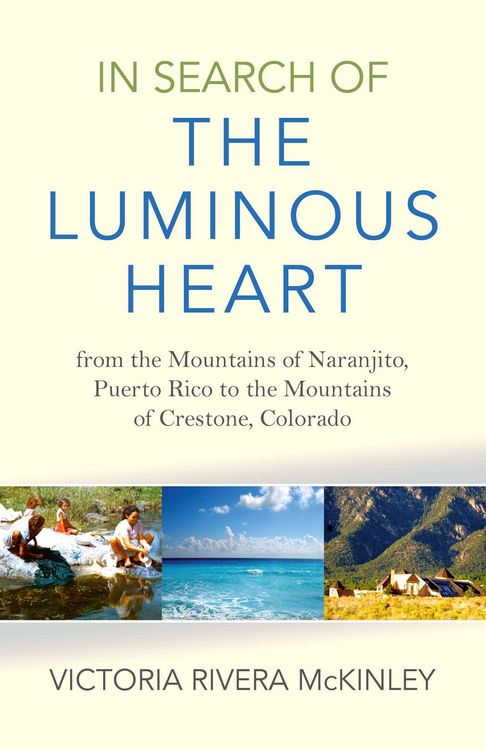 Produktbild: In Search of the Luminous Heart